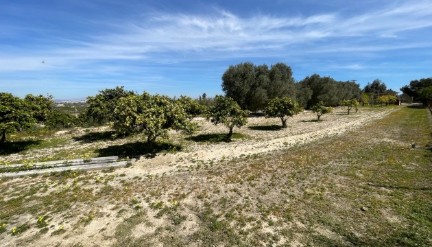 Revente - Villa's
 - Guardamar - Valencian Community