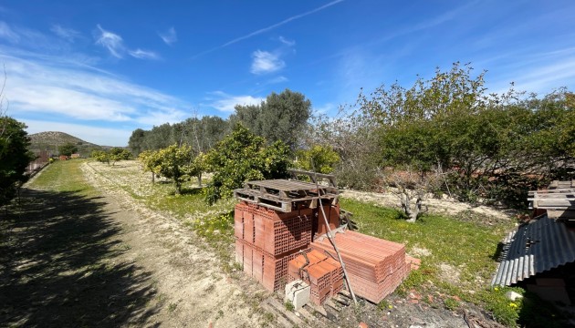 Revente - Villa's
 - Guardamar - Valencian Community