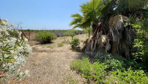 Venta - Villas
 - Daya Nueva