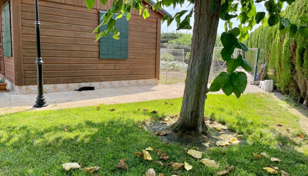 Revente - Villa's
 - San Fulgencio - La Marina