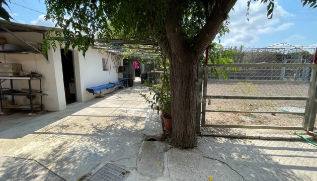 Revente - Villa's
 - San Fulgencio - La Marina