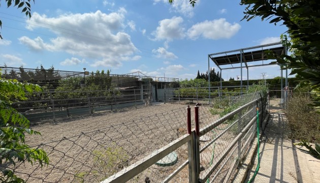 Revente - Villa's
 - San Fulgencio - La Marina