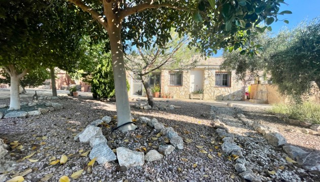 Sale - Villas - Crevillente