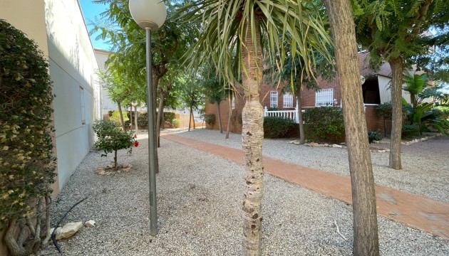 Revente - Townhouse - Elche - Center