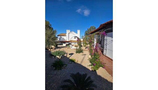 Revente - Villas
 - Fuente Alamo - Las Palas