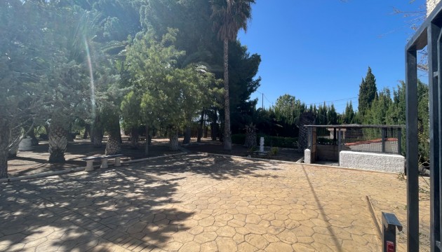 Revente - Villa's
 - Elda