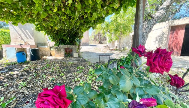 Revente - Villa's
 - La Romana - Villas de la Romana