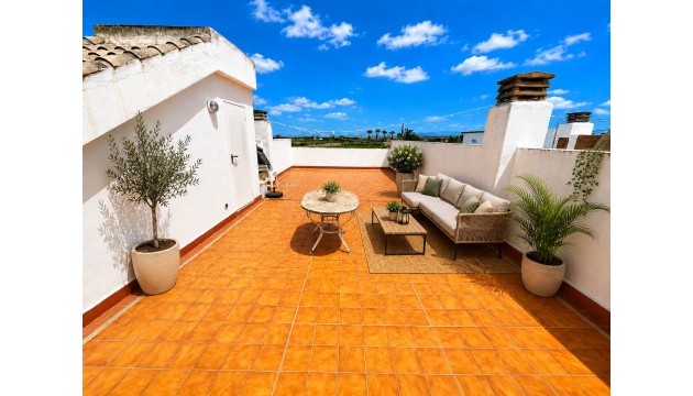 Revente - Appartement - Daya Nueva