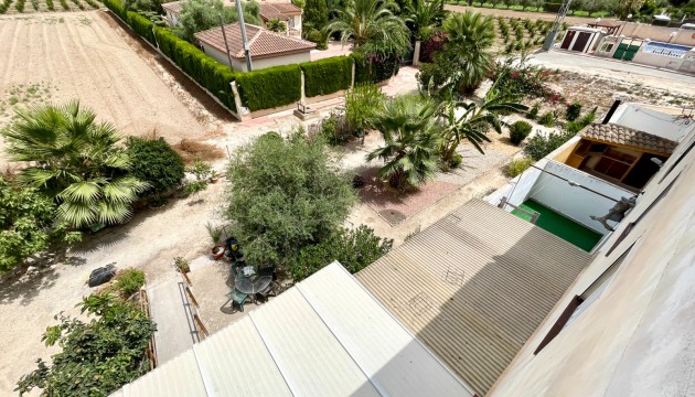 Revente - Appartement - Daya Nueva
