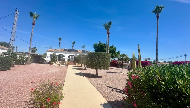 Revente - Villa's
 - Catral