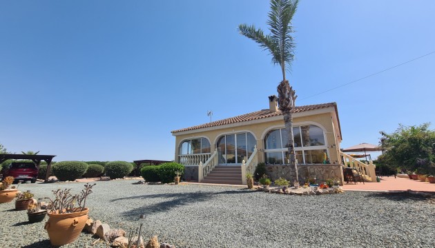 Revente - Villa's
 - Catral