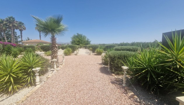 Revente - Villa's
 - Catral