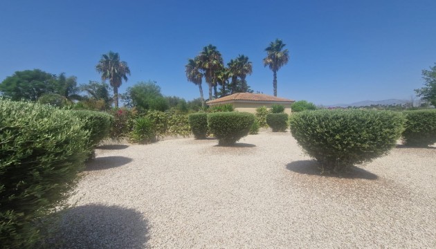 Revente - Villa's
 - Catral