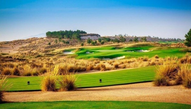 Nouvelle construction - Villas
 - Condada de Alhama - Condado De Alhama