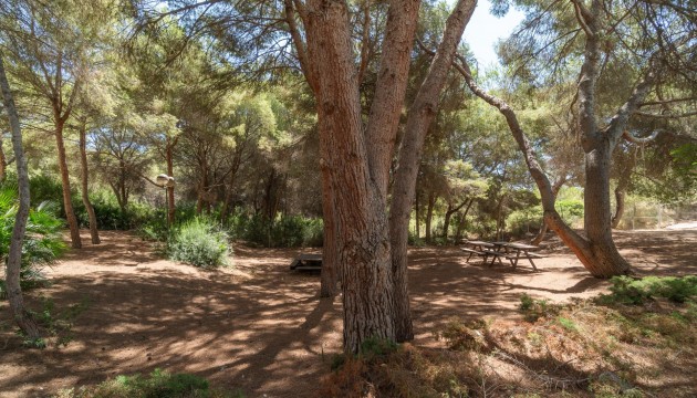 Revente - Appartement - Campoamor