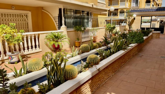 Venta - Apartamento - Algorfa