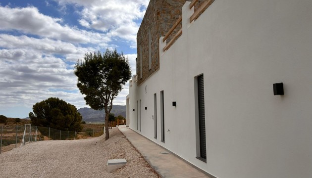 Nouvelle construction - Villa's
 - Pinoso - Casas Pastor