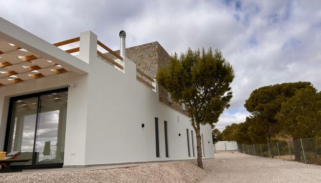 Nouvelle construction - Villa's
 - Pinoso - Casas Pastor