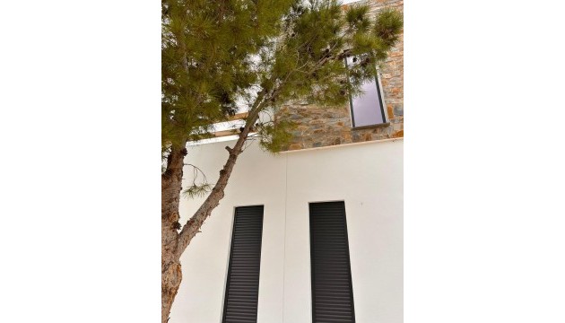 Nouvelle construction - Villa's
 - Pinoso - Casas Pastor