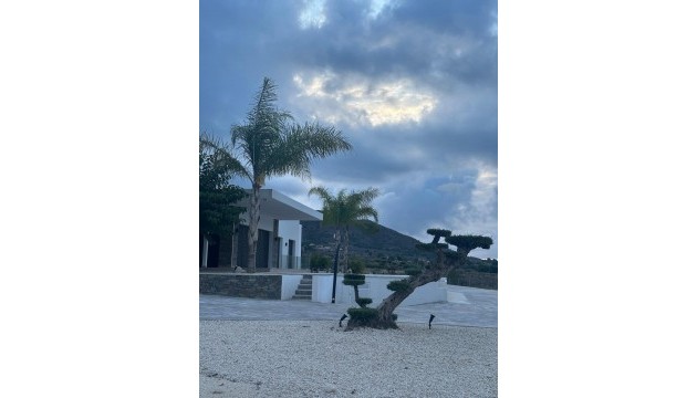 Nouvelle construction - Villa's
 - Pinoso - Casas Pastor