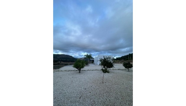 Nouvelle construction - Villa's
 - Pinoso - Casas Pastor