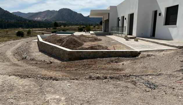 Nouvelle construction - Villa's
 - Pinoso - Casas Pastor