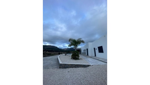 Nouvelle construction - Villa's
 - Pinoso - Casas Pastor