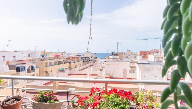 Sale - Apartment - Torrevieja - Curva del Palangre