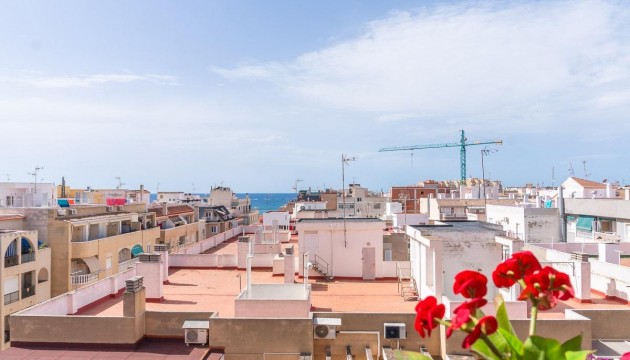 Sale - Apartment - Torrevieja - Curva del Palangre