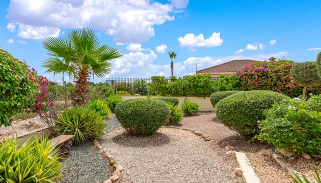 Sale - Villas - Catral