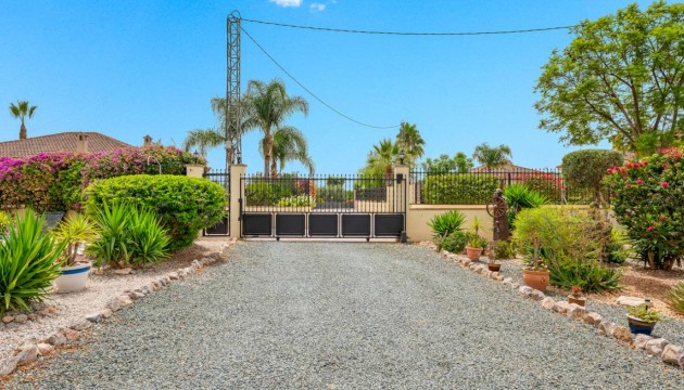 Sale - Villas - Catral