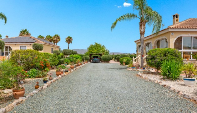 Sale - Villas - Catral