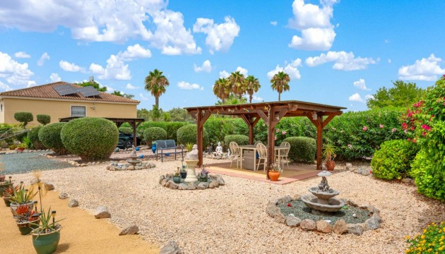 Sale - Villas - Catral