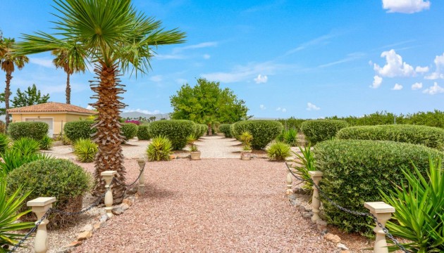 Sale - Villas - Catral