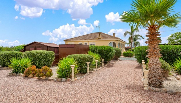 Sale - Villas - Catral