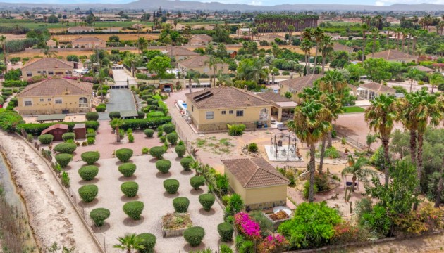 Sale - Villas - Catral