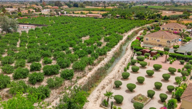 Sale - Villas - Catral