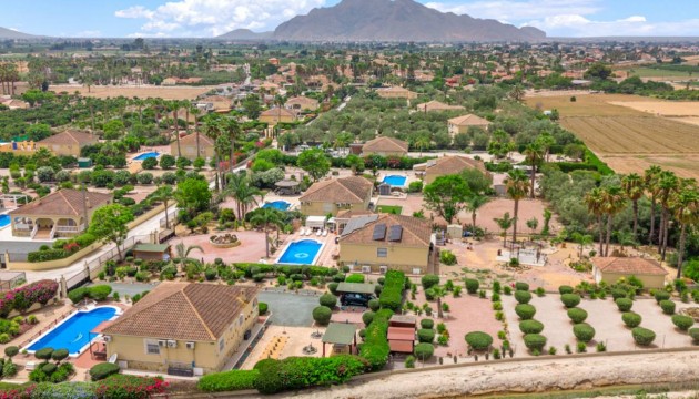 Sale - Villas - Catral