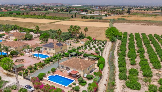 Sale - Villas - Catral