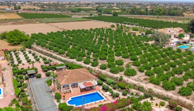Sale - Villas - Catral