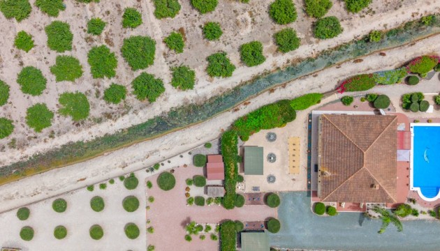 Sale - Villas - Catral