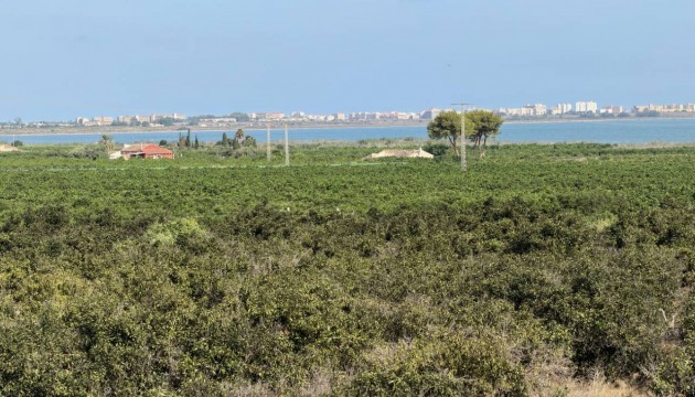 Sale - Villas - Ciudad Quesada - Doña Pepa
