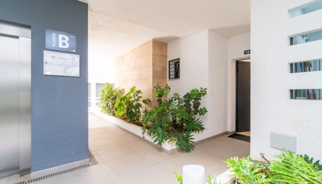 Sale - Apartment - Orihuela Costa - Playa Flamenca