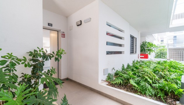 Sale - Apartment - Orihuela Costa - Playa Flamenca