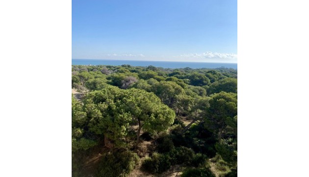 New Build - Apartment - Guardamar - Centro