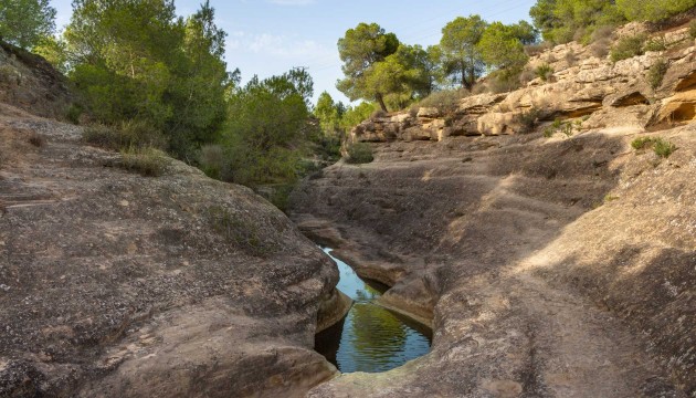 Venta - Apartamento - Algorfa - Pueblo