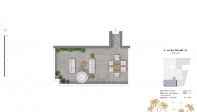 Nouvelle construction - Appartement - Guardamar - Pueblo