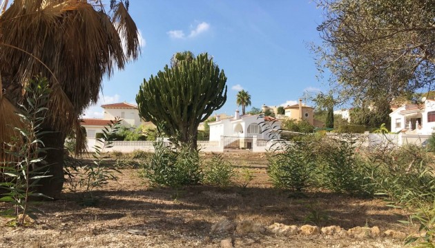 Revente - Villas
 - Ciudad Quesada