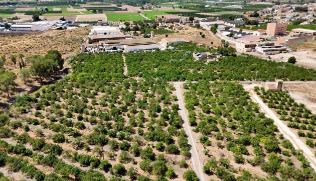 Sale - Finca Country Property - Orihuela