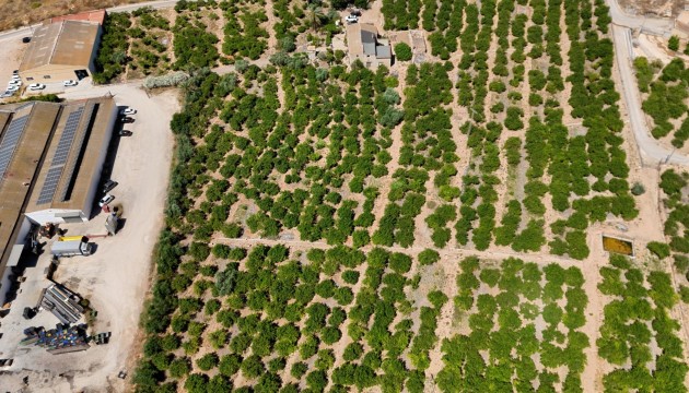 Sale - Finca Country Property - Orihuela